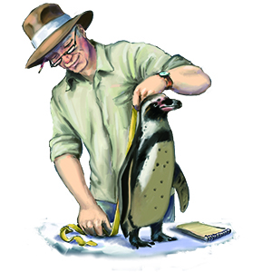 Faune, Brettspiel, Familienspiel, Tiere, Tierspiel, Wissensspiel, Lernspiel, Ratespiel, Globus
