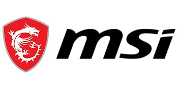 MSI LOGO