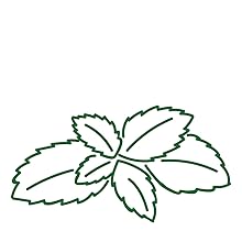 peppermint herb emoji