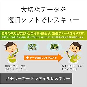 Amazon | ソニー SONY SDXC メモリーカード 256GB SF-E256