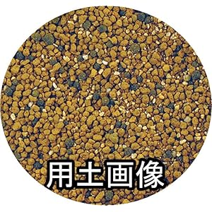 園芸養土・薬品 super bud reborn Amazon.co.jp: Superbud Reborn (250ml) : ホビー