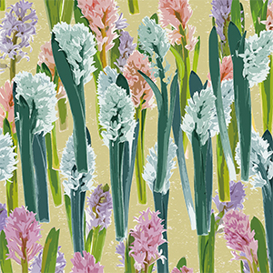 ペーパーブック シリーズ Beautiful Flowers Hibiya Kadan 本 通販 Amazon