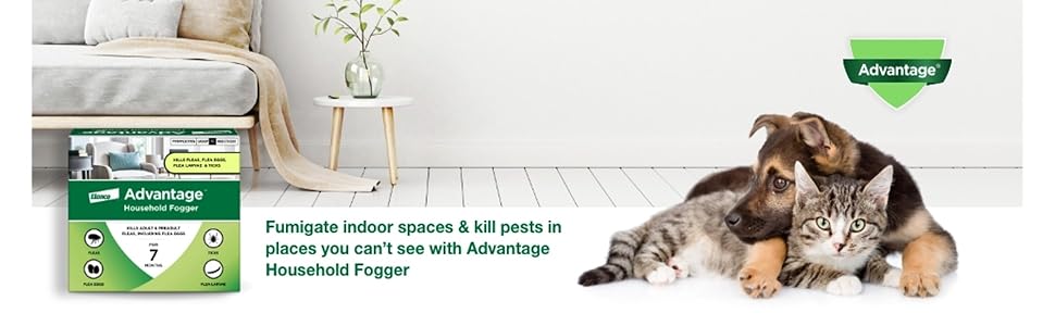 Fumigate indoor spaces and kill pests with the Advantage Household Fogger.