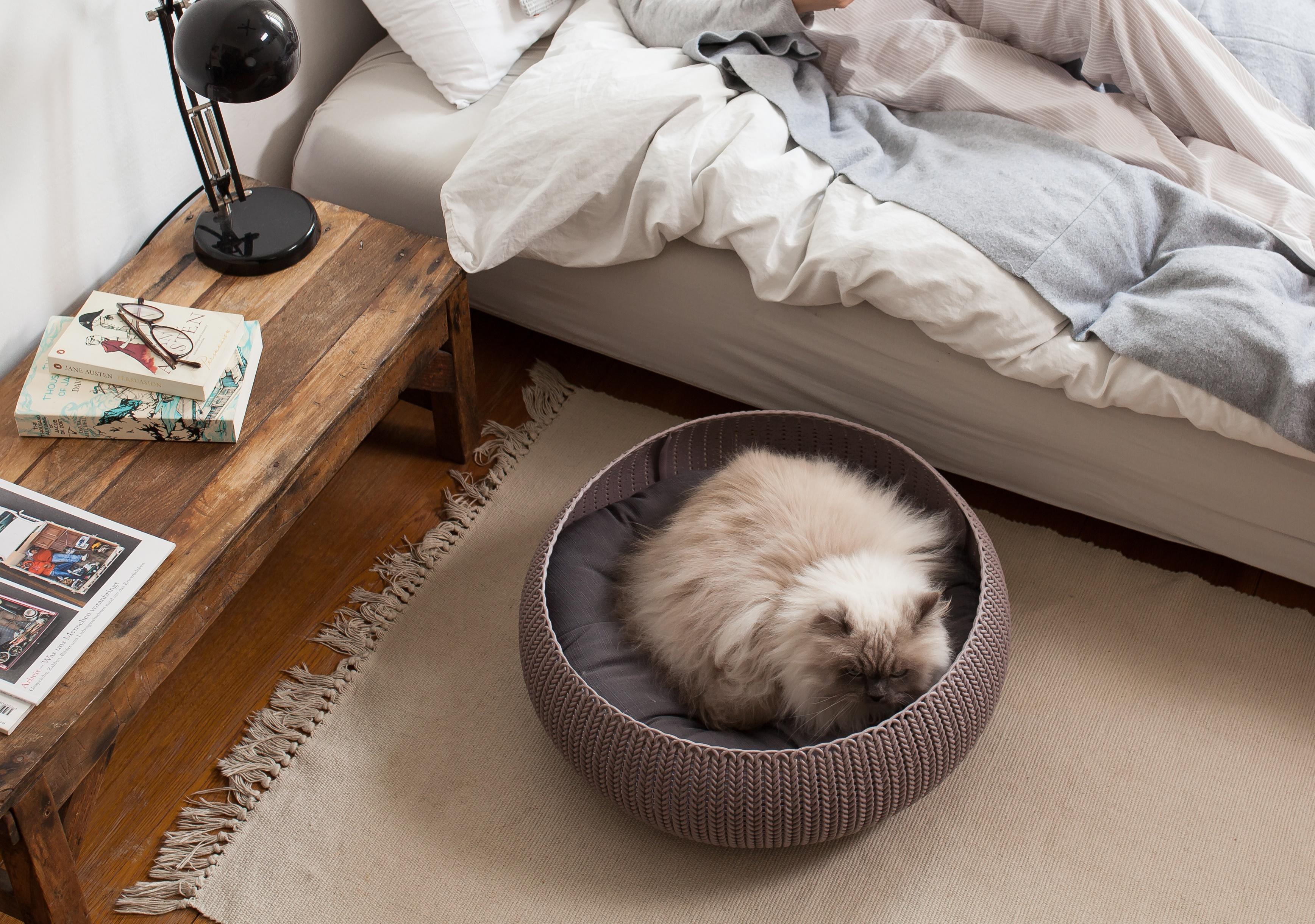 Keter by Curver Knit Cozy Resin Plastic Pet Bed, Cat Bed & Dog Bed with Cushion