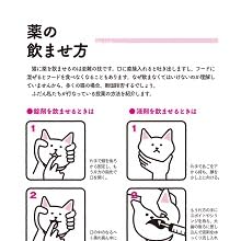 猫の腎臓病がわかる本 宮川 優一 本 通販 Amazon 猫の腎臓病がわかる本 宮川 優一 本 通販 Amazon