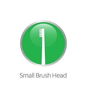 Small brush head