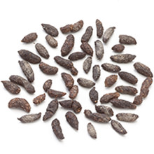 Small manufacture image 8