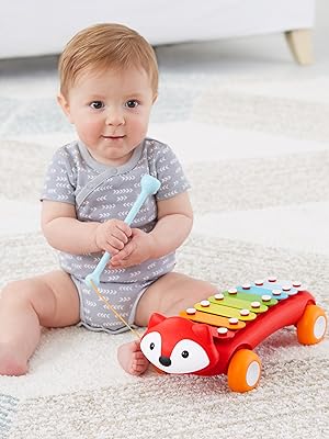 skip hop explore & more musical instrument set