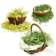 Amazon Extolevel エクストレベル Premium Mix プレミアムミックス 1番刈チモシー X アルファルファ 混合牧草 500g 1番刈チモシー アルファルファ混合牧草 Extolevel エクストレベル フード 通販