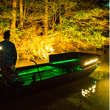 Nilight LED Light Bar