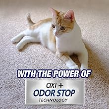 RESOLVE PET CARPET - ULTRA Stain & Odor Remover 