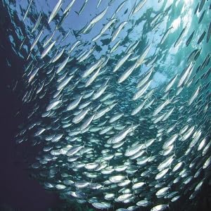 Small manufacture image 5