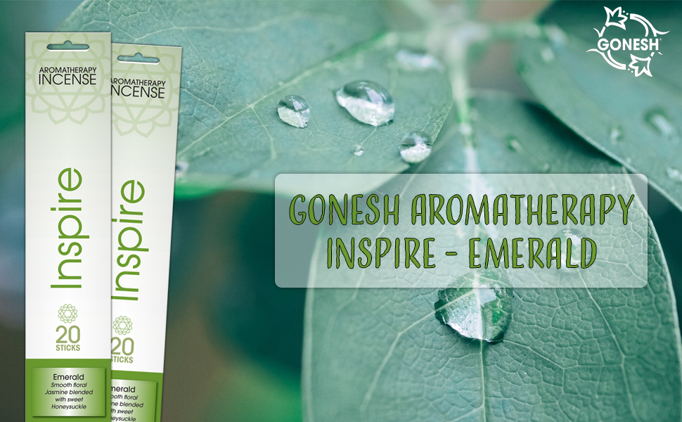 Gonesh Aromatherapy Inspire Incense Home & Kitchen