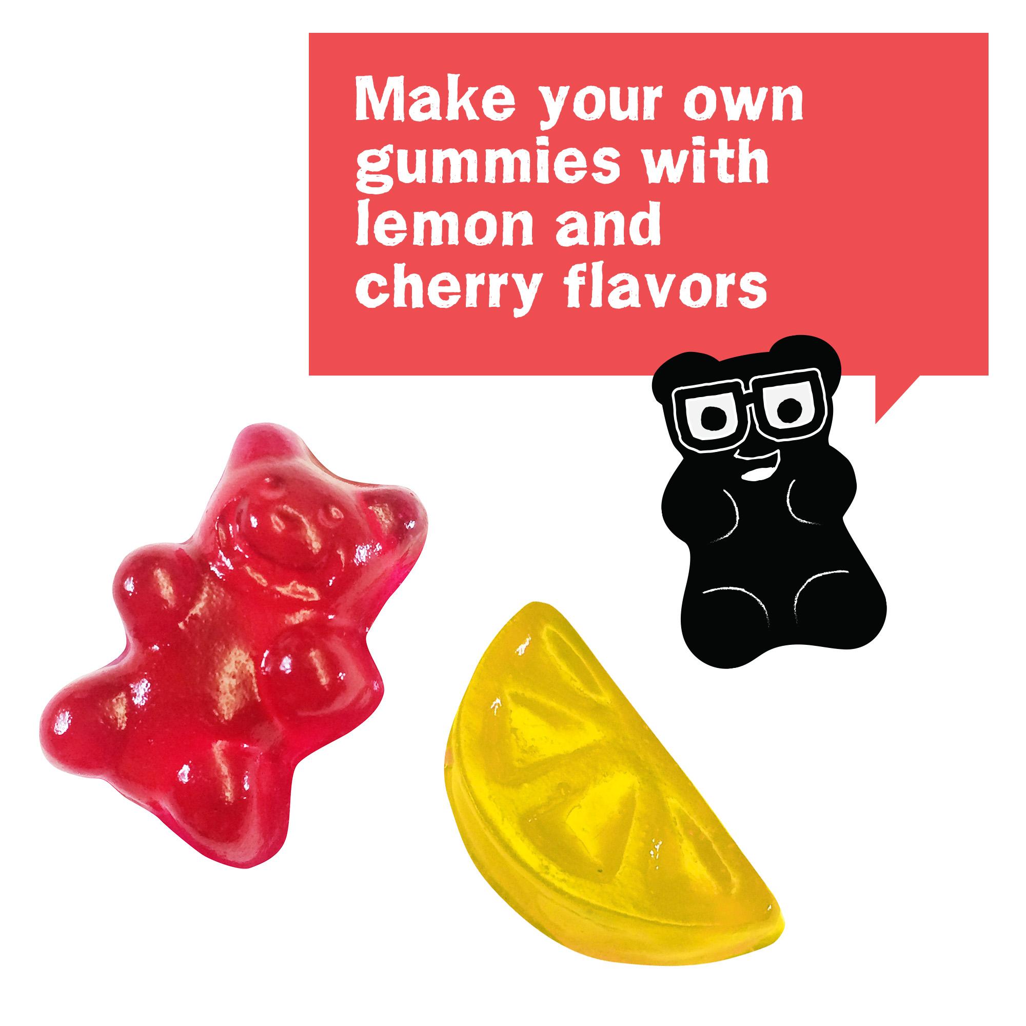 Thames & Kosmos Gummy Candy Lab Science Kit Toys & Games