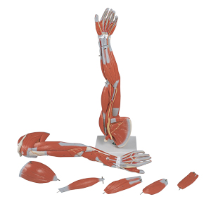 Small manufacture image 2