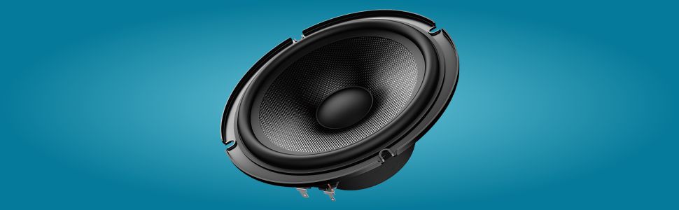 Pioneer Champion TS-W120D4 12-inch Dual Voice Coil Subwoofer (Black)