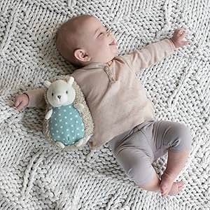 ハリネズミコレクション　50パック 81-LNMNiuRL._AC_UF894,