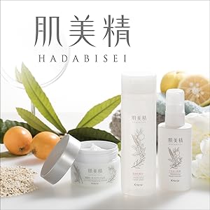 美スタイル/PROTON AID MISTLOTION/化粧水2本セット 美スタイル/PROTON AID MISTLOTION/化粧水2本セット