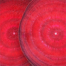 Beet Sugar