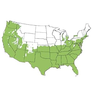 USDA Zone Map 6-10