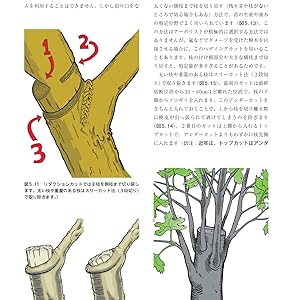 ISA公認 アーボリスト®基本テキスト クライミング、リギング、樹木管理技術 アーボリスト基本テキスト クライミングリギング樹木管理技術
