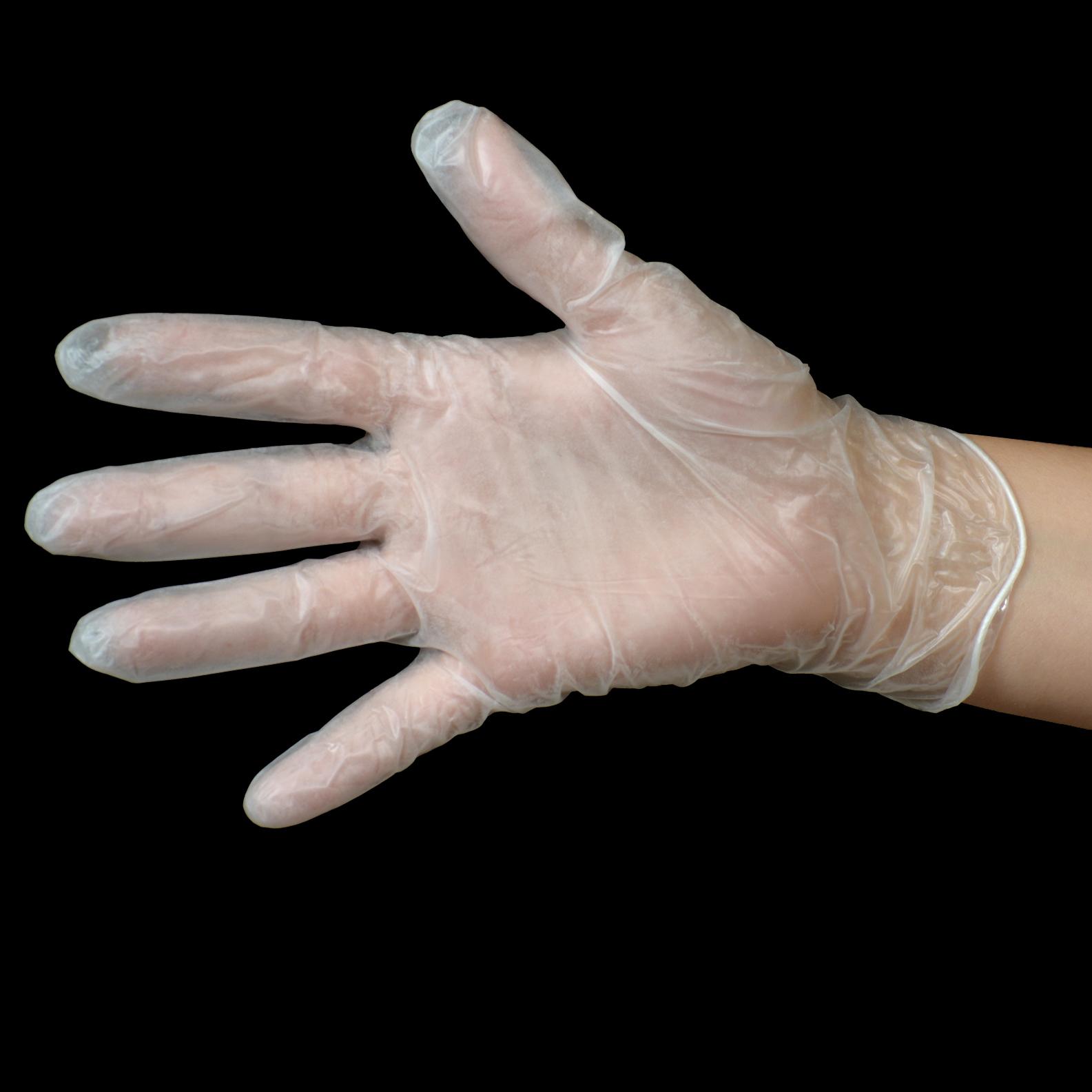 Daxwell Vinyl Gloves, Powdered, Medium, Clear, F10001751B (Box of 100