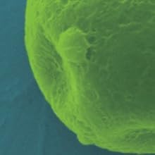 Small manufacture image 4