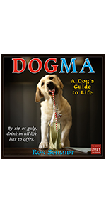 2021 Pets Rock 16 Month Wall Calendar Takkoda 9781531910686 Amazon Com Books pets rock kalender 2021