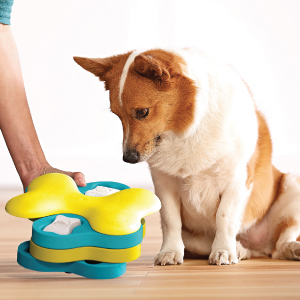 Planet Dog Orbee-Tuff Nooks Green Paw Print Treat-Dispensing Dog Toy 15 Interactive Dog Puzzles