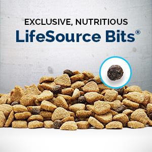 Amazon.com: Blue Buffalo Wilderness High Protein Grain