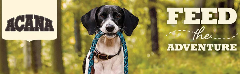 Amazon.com : ACANA Regionals Dry Dog Food, Wild Atlantic