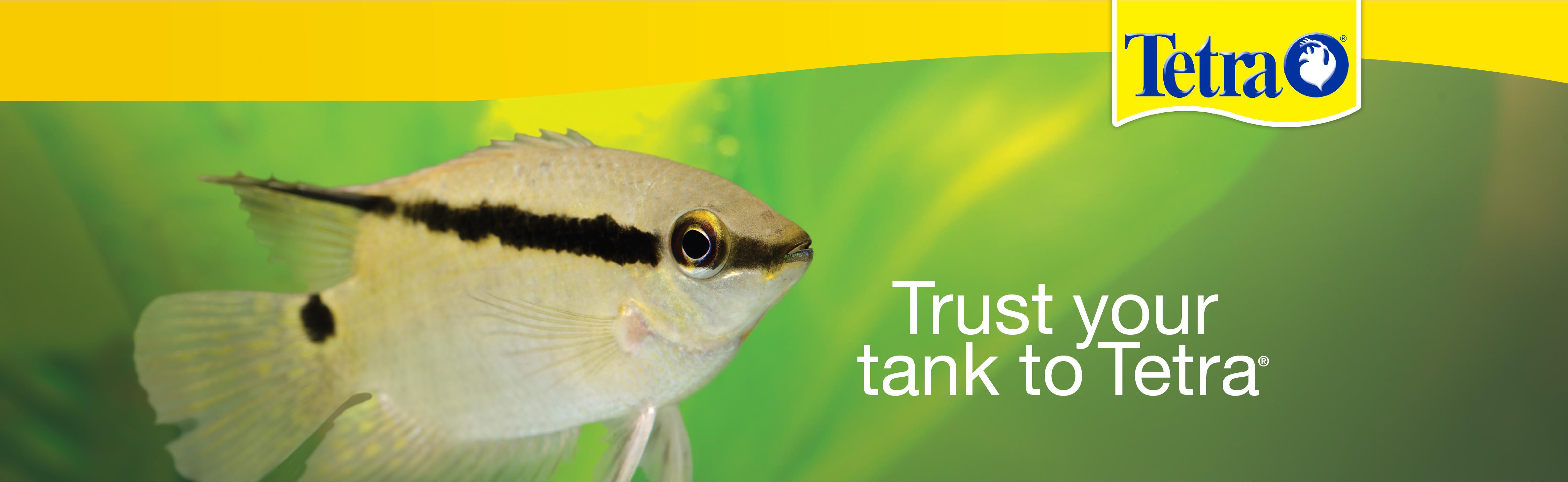 Tetra Cube 3 Gallon Starter Fish Tank Kit