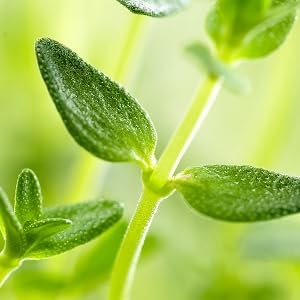 Small manufacture image 6