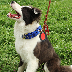 Small manufacture image 7