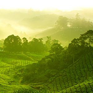 Small manufacture image 6