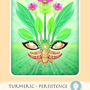 mind body spirit, red feather, healing, herbal-ism, divination, shamanism, tarot, oracle