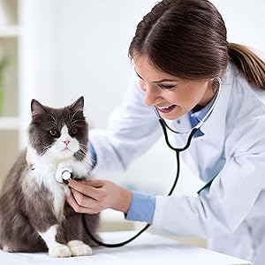 Catnip, cat relaxation, multi-cat household, family, scratching, biting, marking, natural