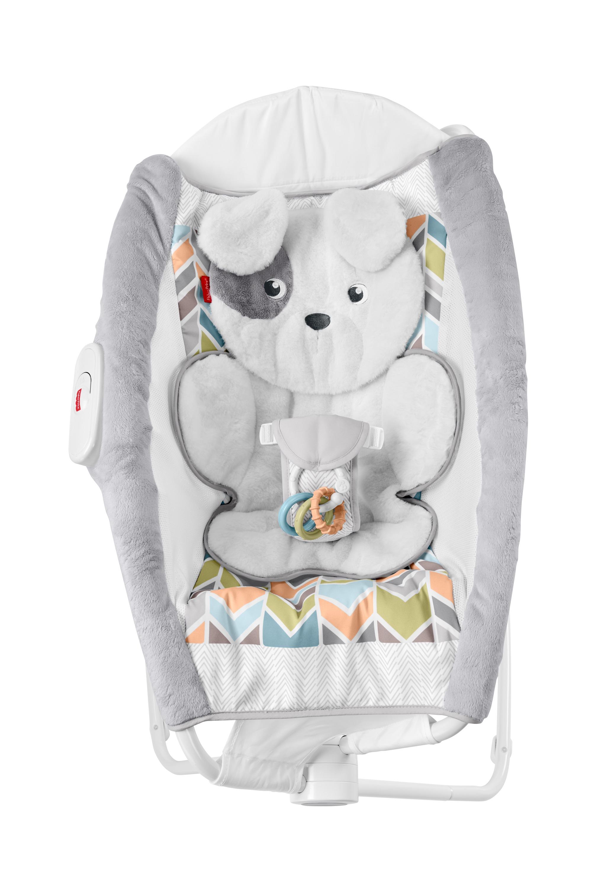 FisherPrice Deluxe Rock 'n Play Sleeper, Sweet Snugapuppy