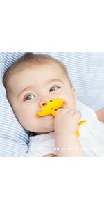 innobaby teether fruit