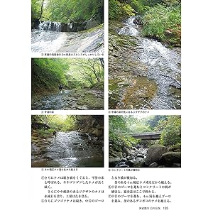 ウォーターウォーキング 3 丹沢ネットワーク編 ウォーターウォーキング 3 | 丹沢ネットワーク |本 | 通販 | Amazon