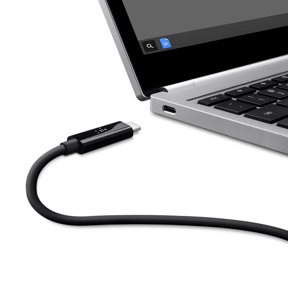 Belkin USBC Laptop to Monitor Video Cable (F2CU049bt2MBLK) Electronics