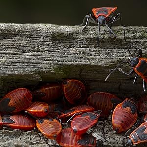 Small manufacture image 3