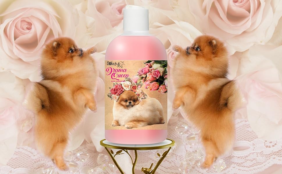 Amazon Com The Blissful Dog Pomeranian Drama Queen Dog Shampoo 16 Oz Pet Supplies Amazon Com The Blissful Dog Pomeranian Drama Queen Dog Shampoo 16 Oz Pet Supplies