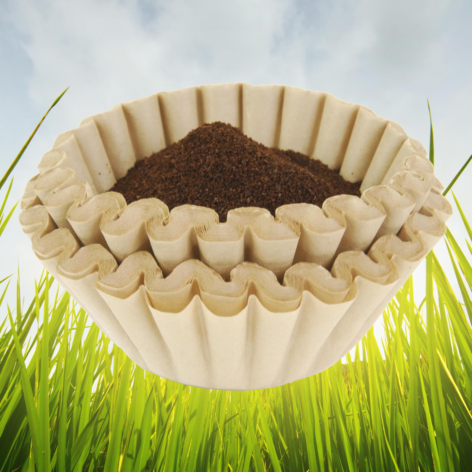 Beyond Gourmet Paper Coffee Filter Cone, Number 2Size