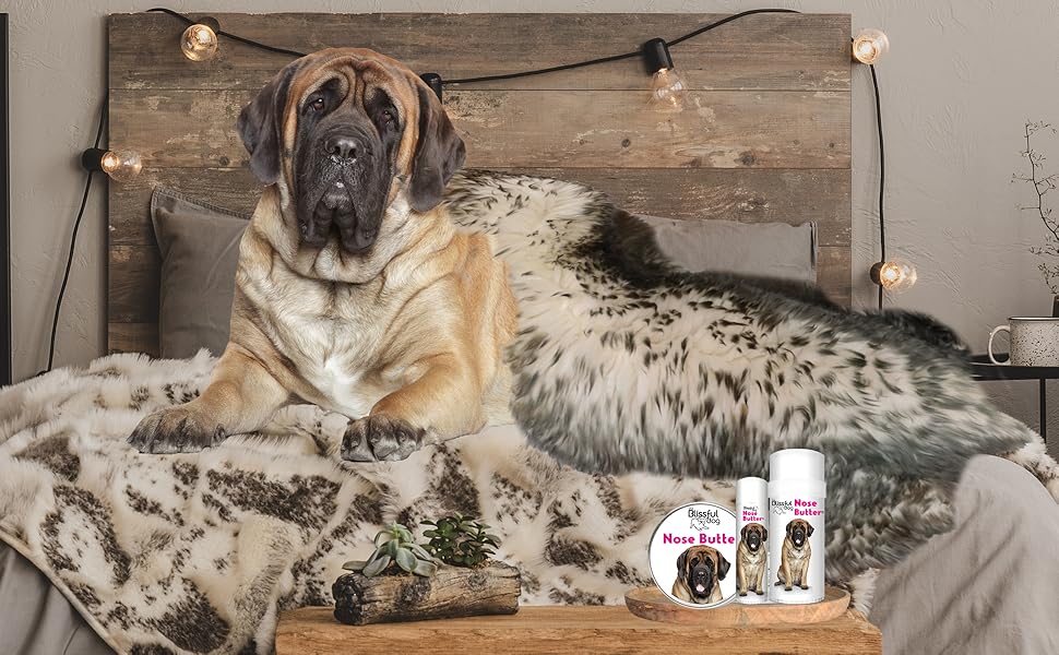 Amazon Com The Blissful Dog Mastiff Nose Butter Dog Nose Butter 2 Ounce Garden Outdoor the blissful dog nose butter for dry dog nose