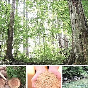 年内ラスト【定価22,000円が値下げ】ご神木由来のひのき蒸留水スプレー Amazon.co.jp: SPICE OF LIFE(スパイス) ヒノキ 天然 消臭 除菌