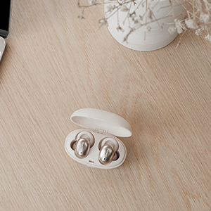 1MORE Stylish True Wireless In-Ear Headphones