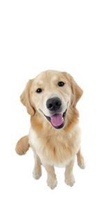 75ff08ba 548f 4267 ba61 a9a26ff5c9f6. SR150,300