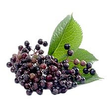 Adult Elderberry Immune Support Gummies 