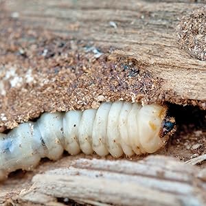 Small manufacture image 8